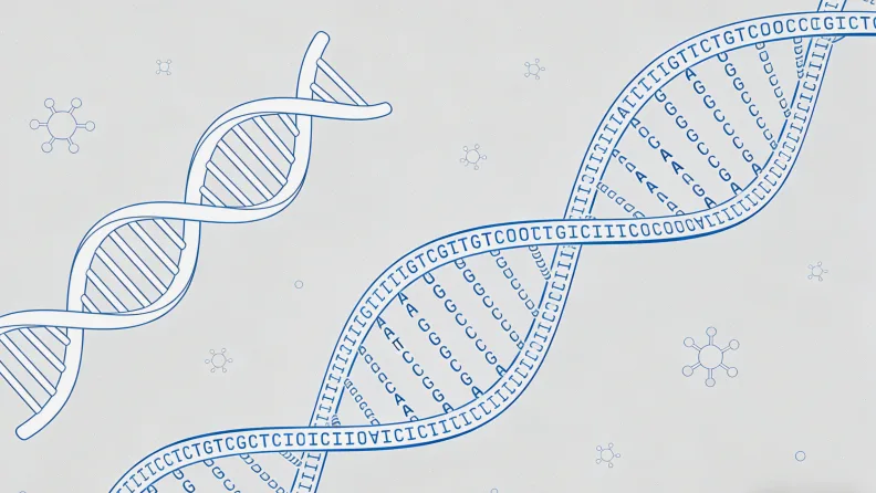 HER2检测报告关键部分示例图