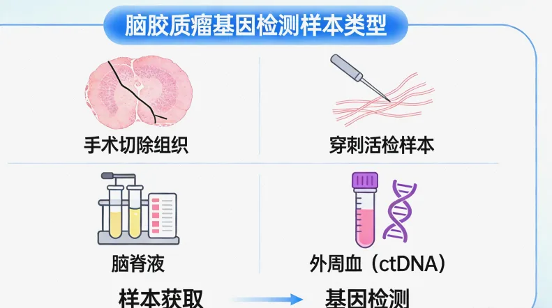 基因检测报告关键部分示例
