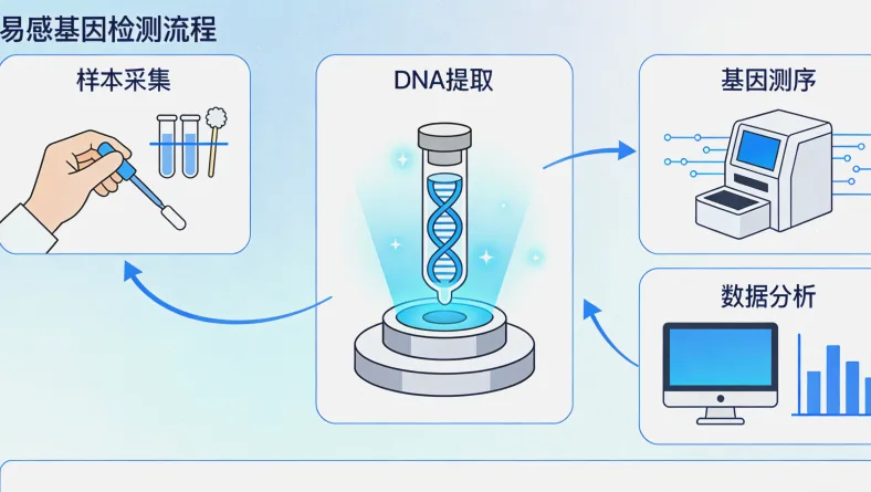 基因检测报告重点部分示意图