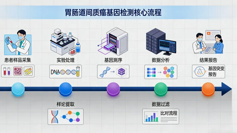 基因突变位点示意图解