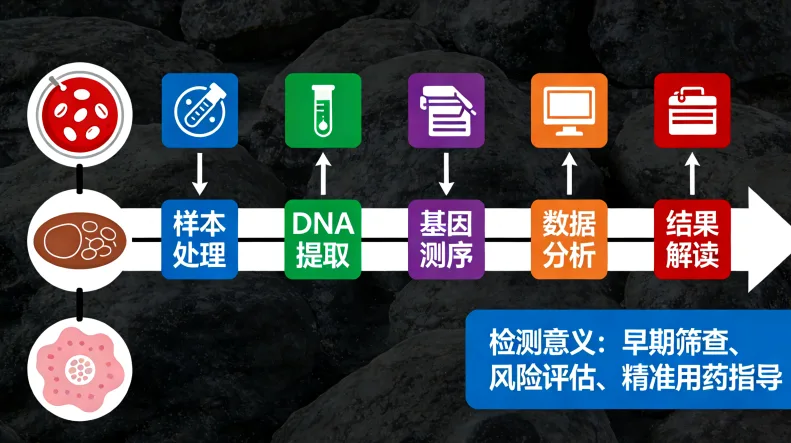 肿瘤组织切片样本示例