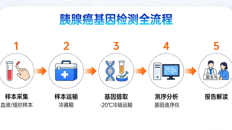 EGFR基因常见突变位点示意图