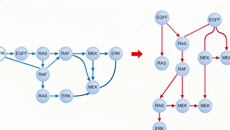 基因“开关”示意图:正常与故障对比