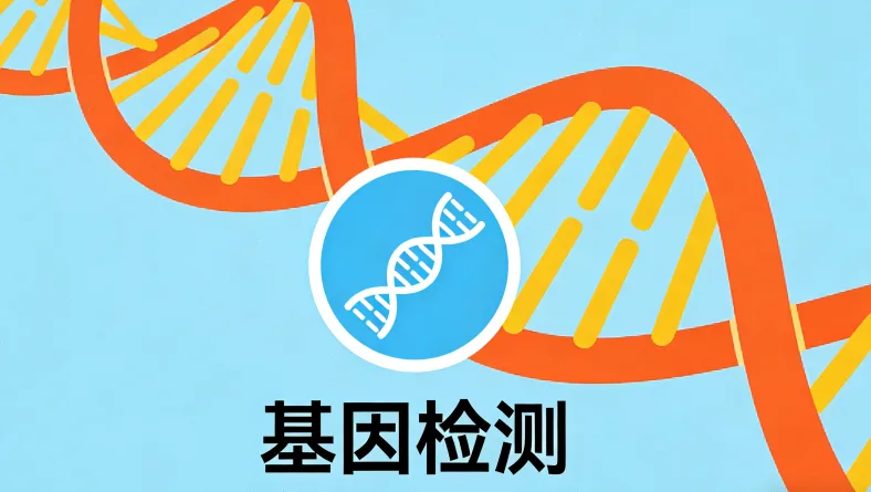 ALK基因重排示意图