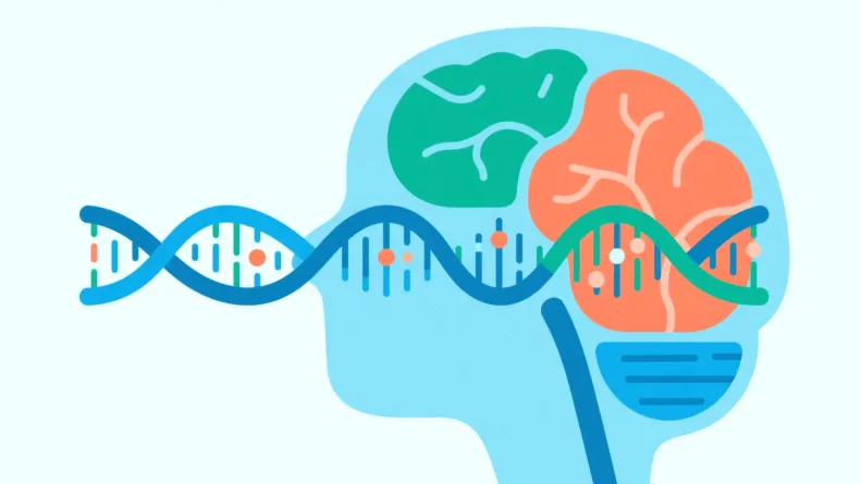 基因检测报告关键部分示例