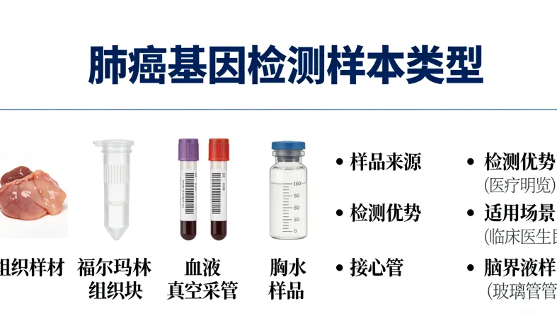 靶向药精准作用于特定基因突变细胞