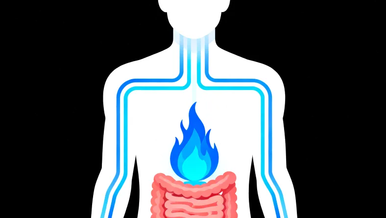 基因检测报告样本关键指标图示