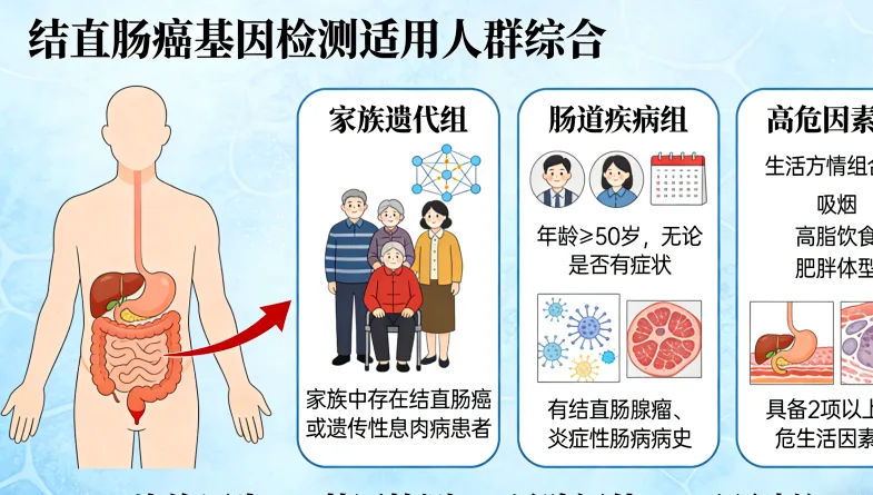 遗传咨询师正在绘制家族谱系图
