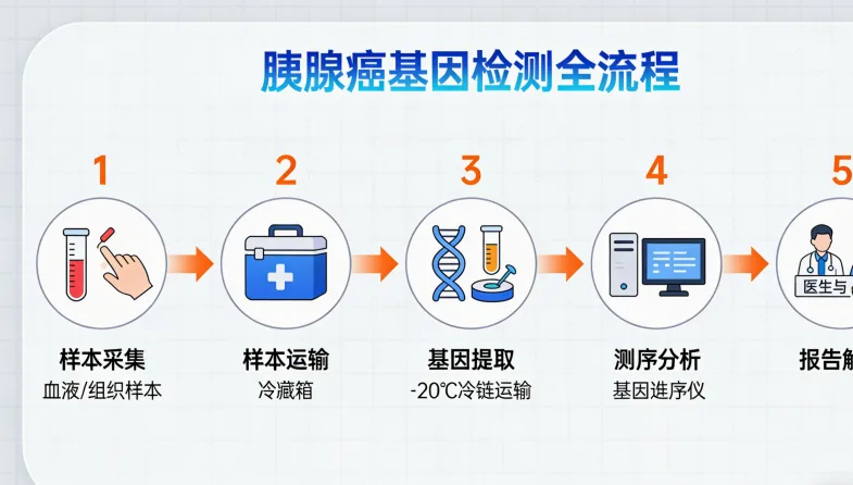 基因检测报告关键指标示例图
