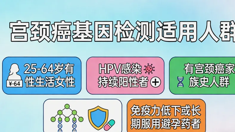 MET基因信号通路示意图