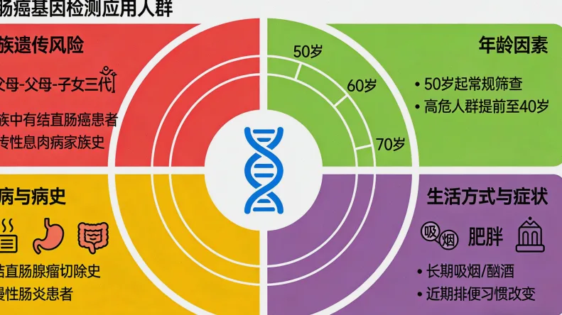 HER2蛋白在细胞膜上的示意图