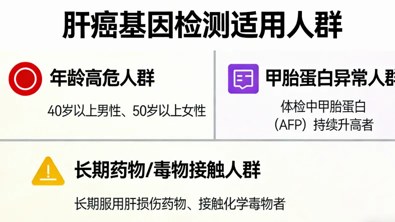 MET基因信号通路示意图