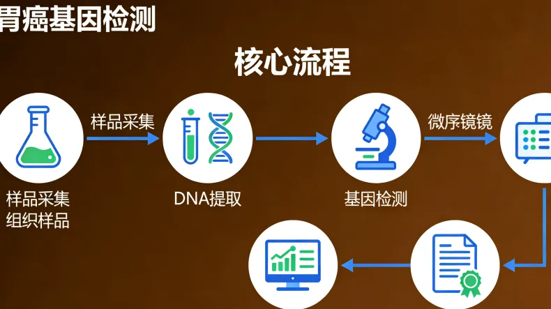 基因检测报告关键信息标注示例图