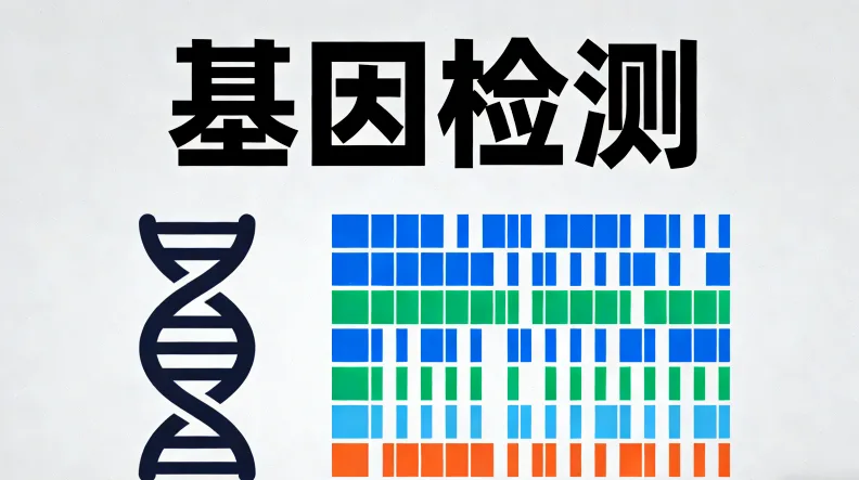 基因检测报告重点栏目示意