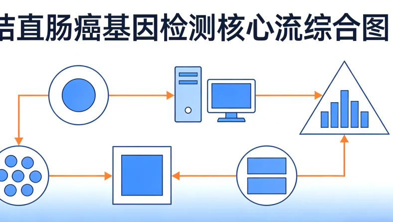 基因检测报告关键指标标注示例