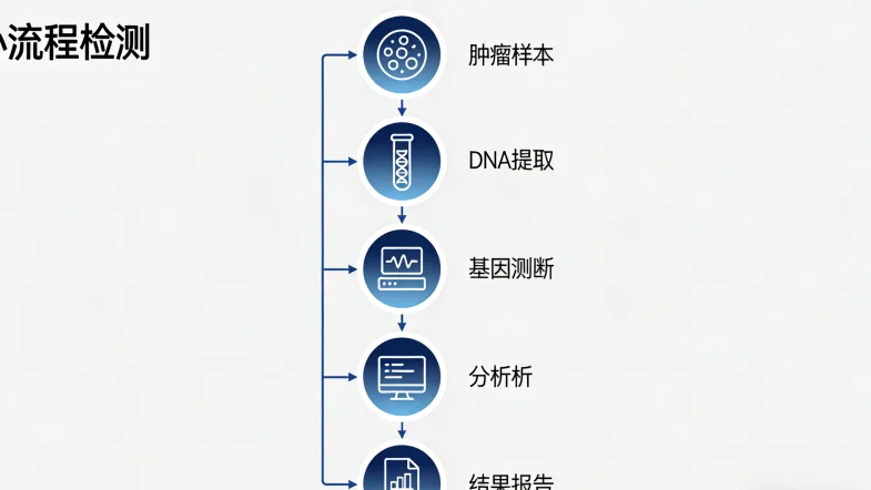 胃部细胞Claudin18.2蛋白示意图