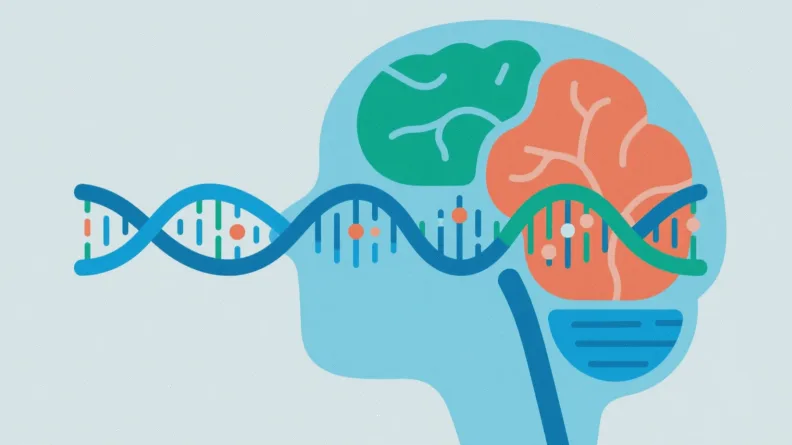 PIK3CA基因常见突变位点示意图