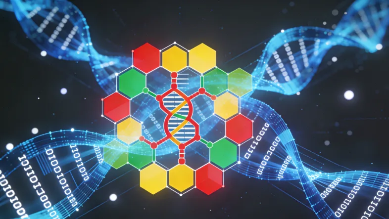 基因检测报告重点信息标注示例