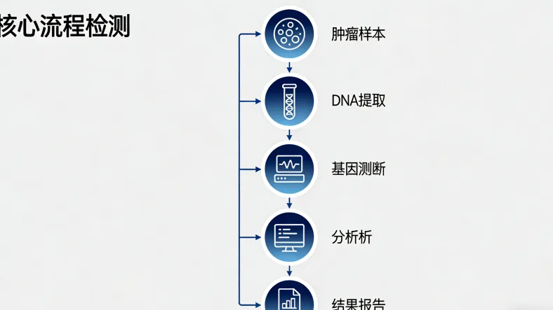 免疫治疗作用机制示意图