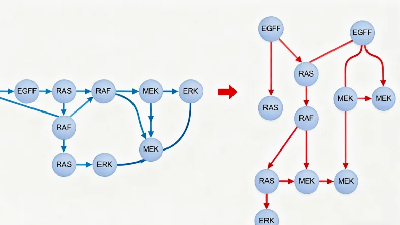 基因检测报告重点标注示例