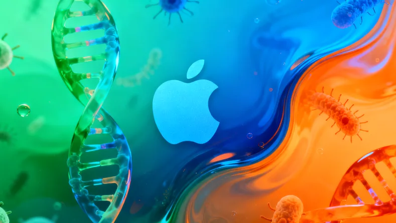 免疫组化检测不同评分对比图