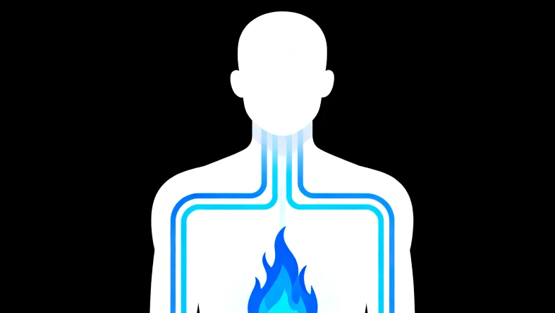 基因检测报告关键部分标注示例