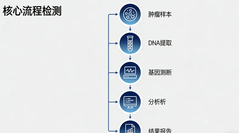 实验室基因测序工作流程示意图