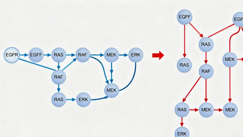 免疫检查点PD-1/PD-L1作用机制示意图