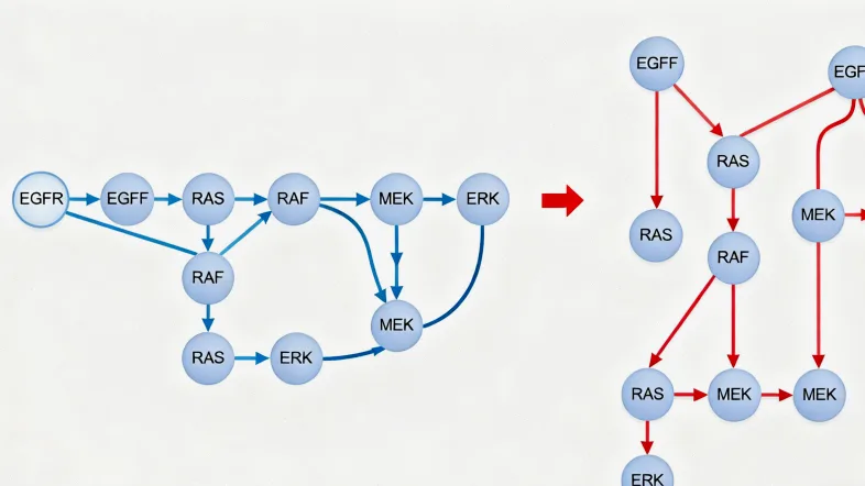 基因检测报告关键信息解读示例