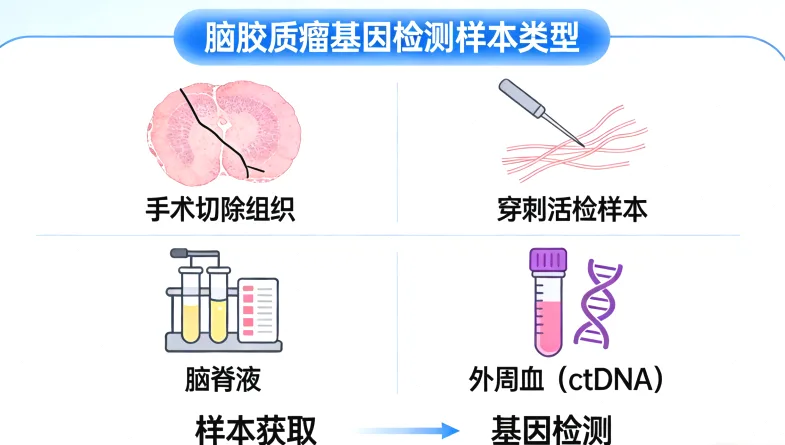 肉瘤基因检测核心流程示意图