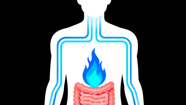 白血病基因检测常用样本类型示意图