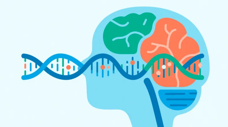 膀胱癌基因检测核心流程示意图