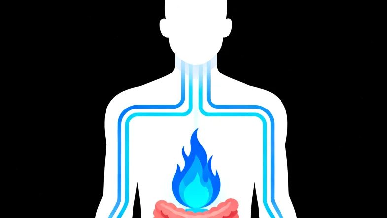 下一代测序(NGS)技术流程简图