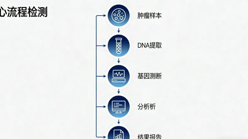 肠癌遗传家系图谱示例