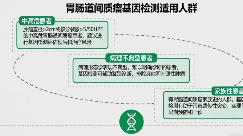 染色体易位示意图