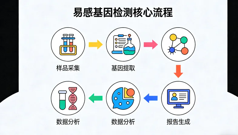 多基因面板检测技术流程简图