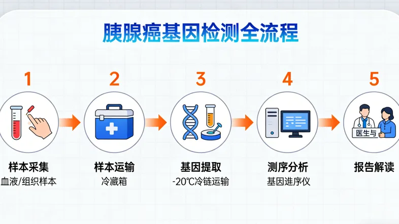 IDH基因突变与野生型预后对比图表
