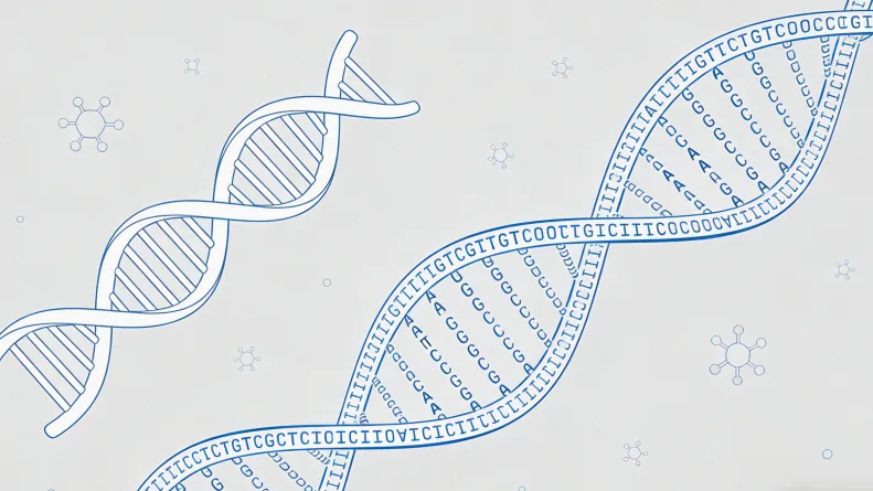 高通量测序技术流程简图