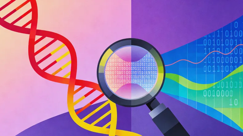 脑膜解剖结构与脑膜瘤示意图