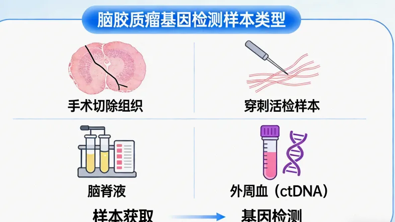 IDH基因突变检测结果示例图