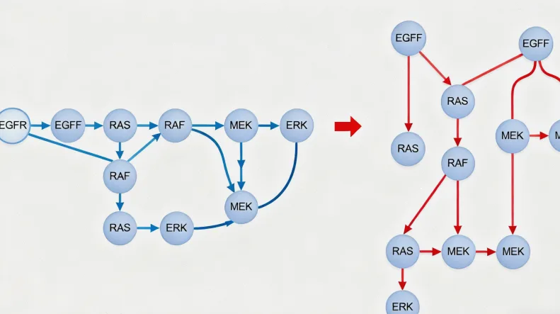 常见脑肿瘤相关基因突变图解