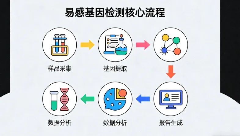 高通量测序技术流程简图