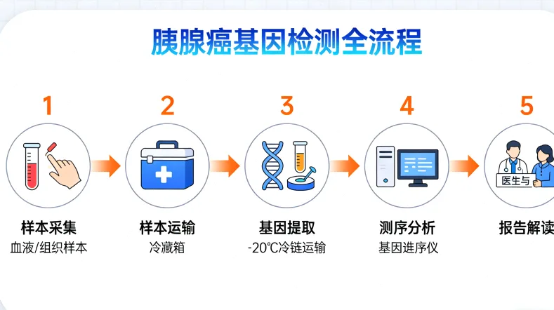 基因测序原理动态示意图