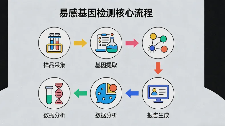 一份基因检测报告关键部分示例图