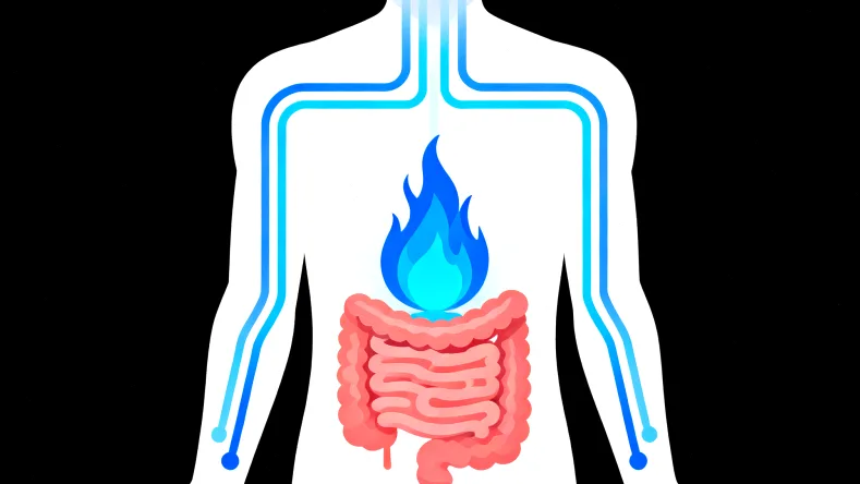DNA双螺旋结构示意图