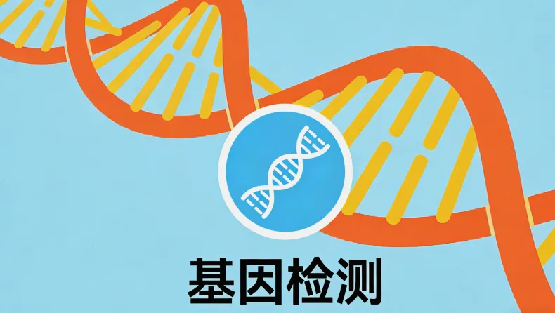 膀胱癌相关基因示意图