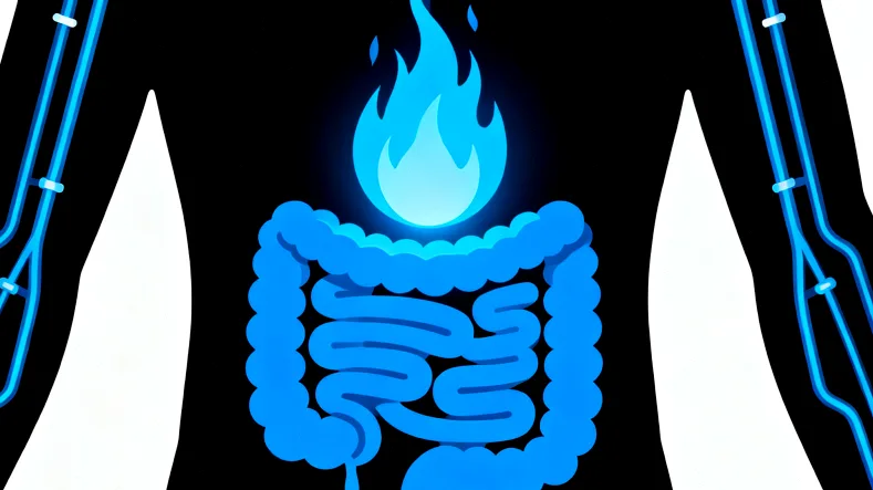 基因检测报告关键部分示例