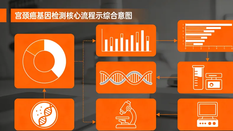 染色体易位形成融合基因示意图