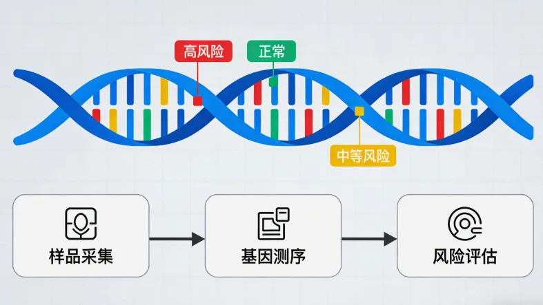 染色体易位（如t(14;18)）原理动态图示