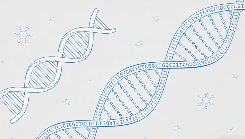 MGMT启动子甲基化原理动画截图